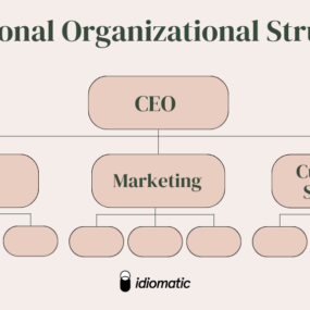 Functional organizational structure chart