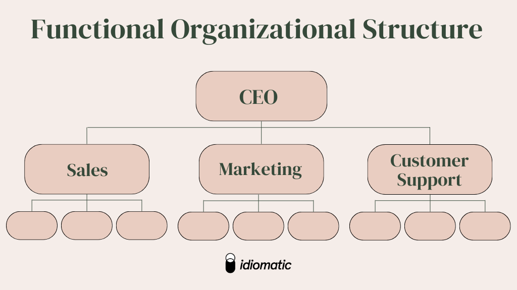 Functional organizational structure chart